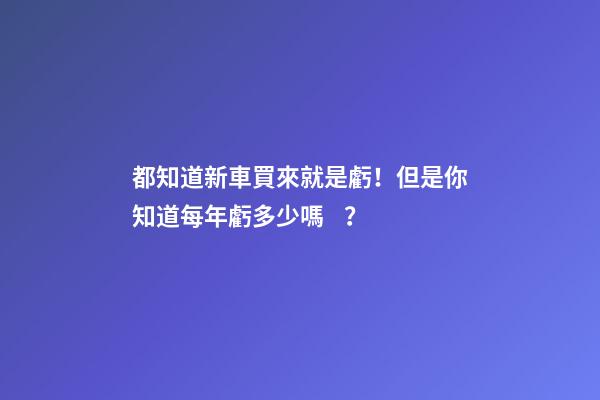 都知道新車買來就是虧！但是你知道每年虧多少嗎？